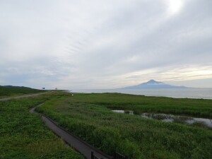 3日目　利尻富士と湿原